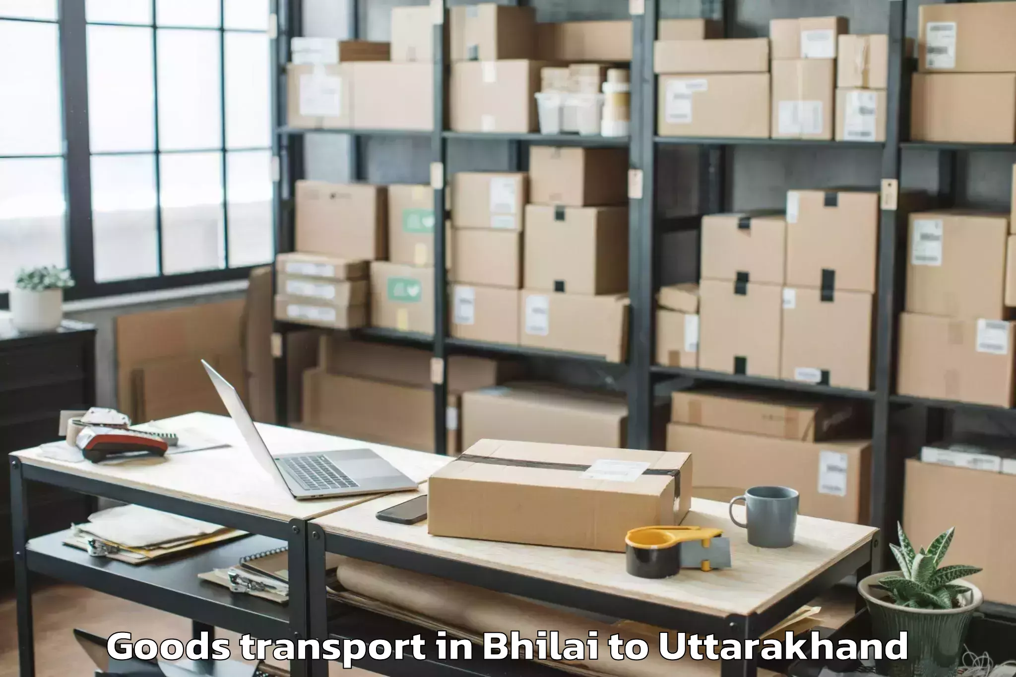 Top Bhilai to Chaubattakhal Goods Transport Available